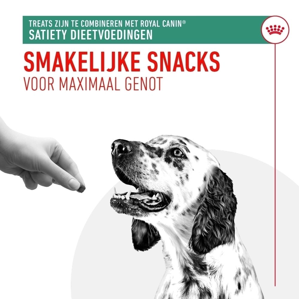 Een hond wacht op een traktatie die door een hand wordt aangeboden. Tekst: "Smakelijke Snacks"