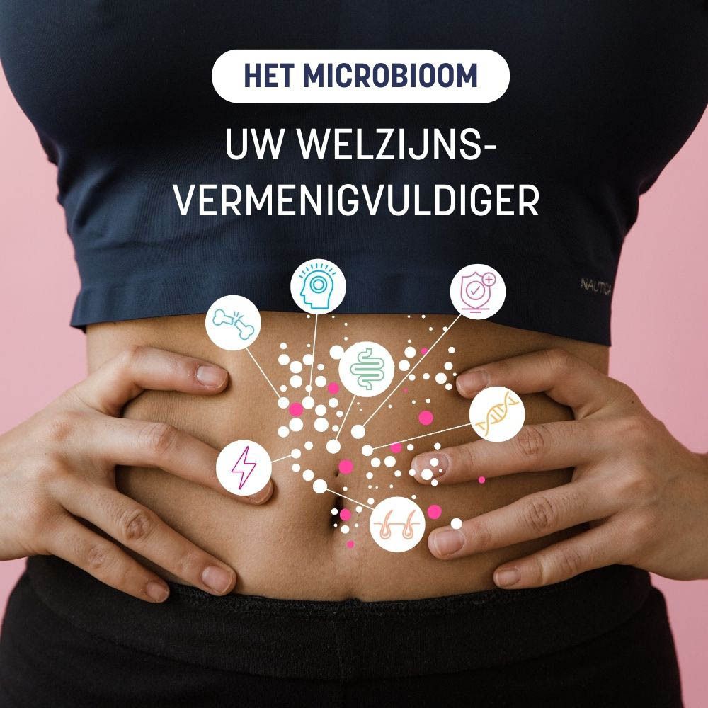 Illustratie van de menselijke darm. Verschillende symbolen en cirkels rond de buik.