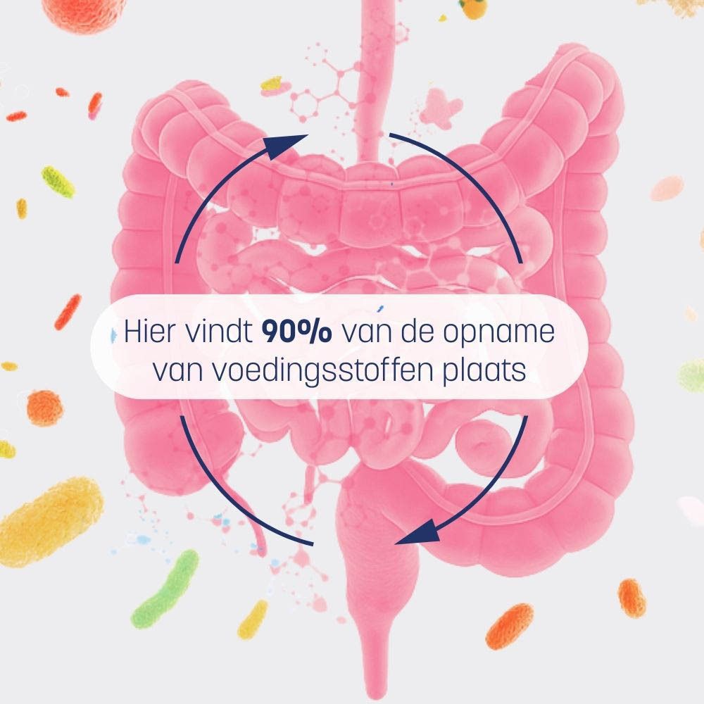 Twee capsules, één licht, één donker. Tekst met ingrediënten voor dag 1 en dag 2.