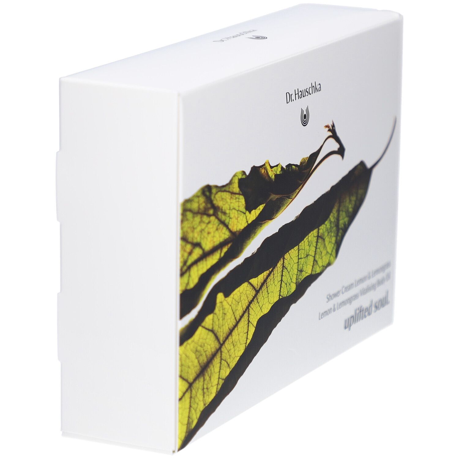 Witte doos met bladmotief en tekst. Dr. Hauschka logo. Zijaanzicht.
