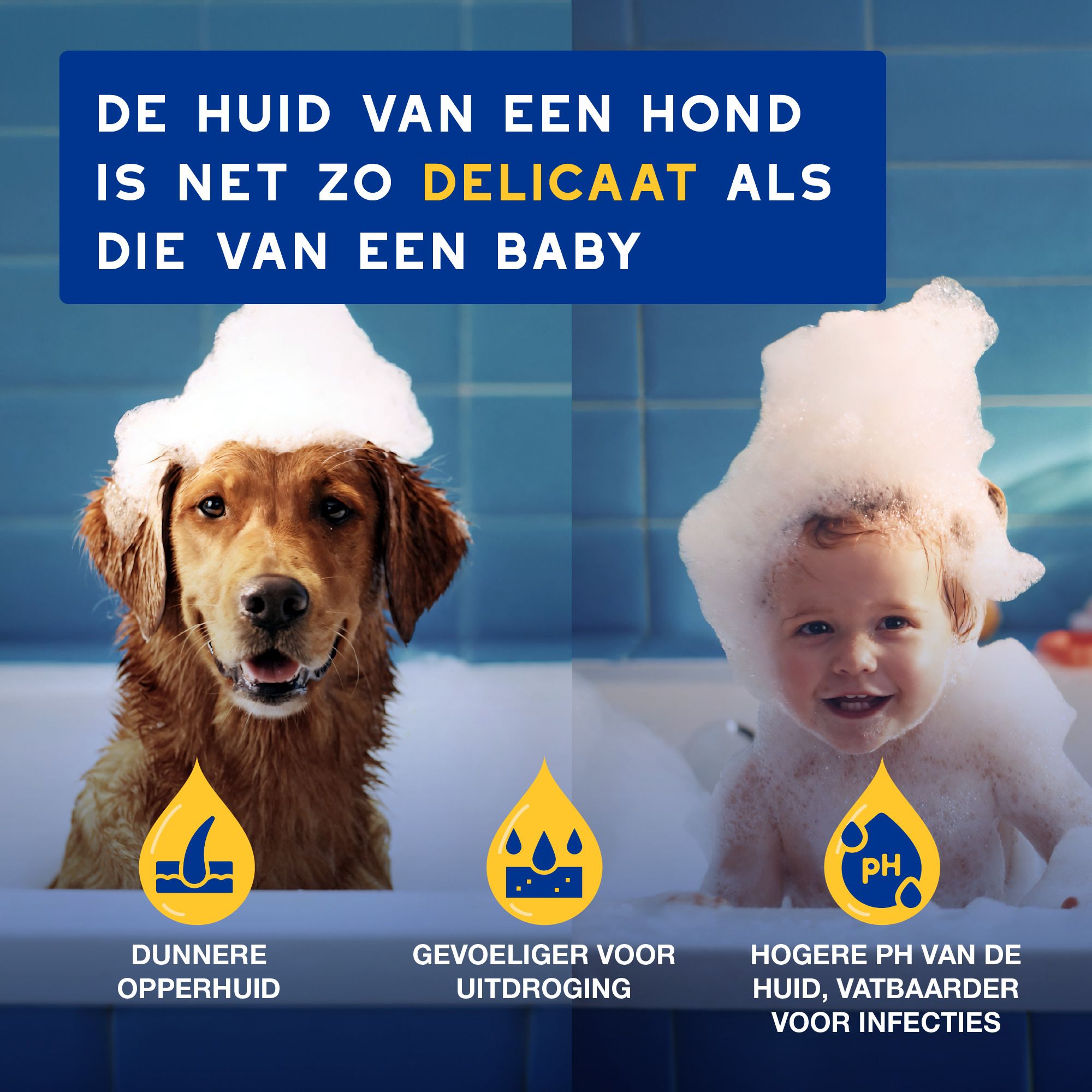 Hond met handdoek. Tekst: Ultra-safe hondenshampoo. Ontwikkeld door dierenartsen.