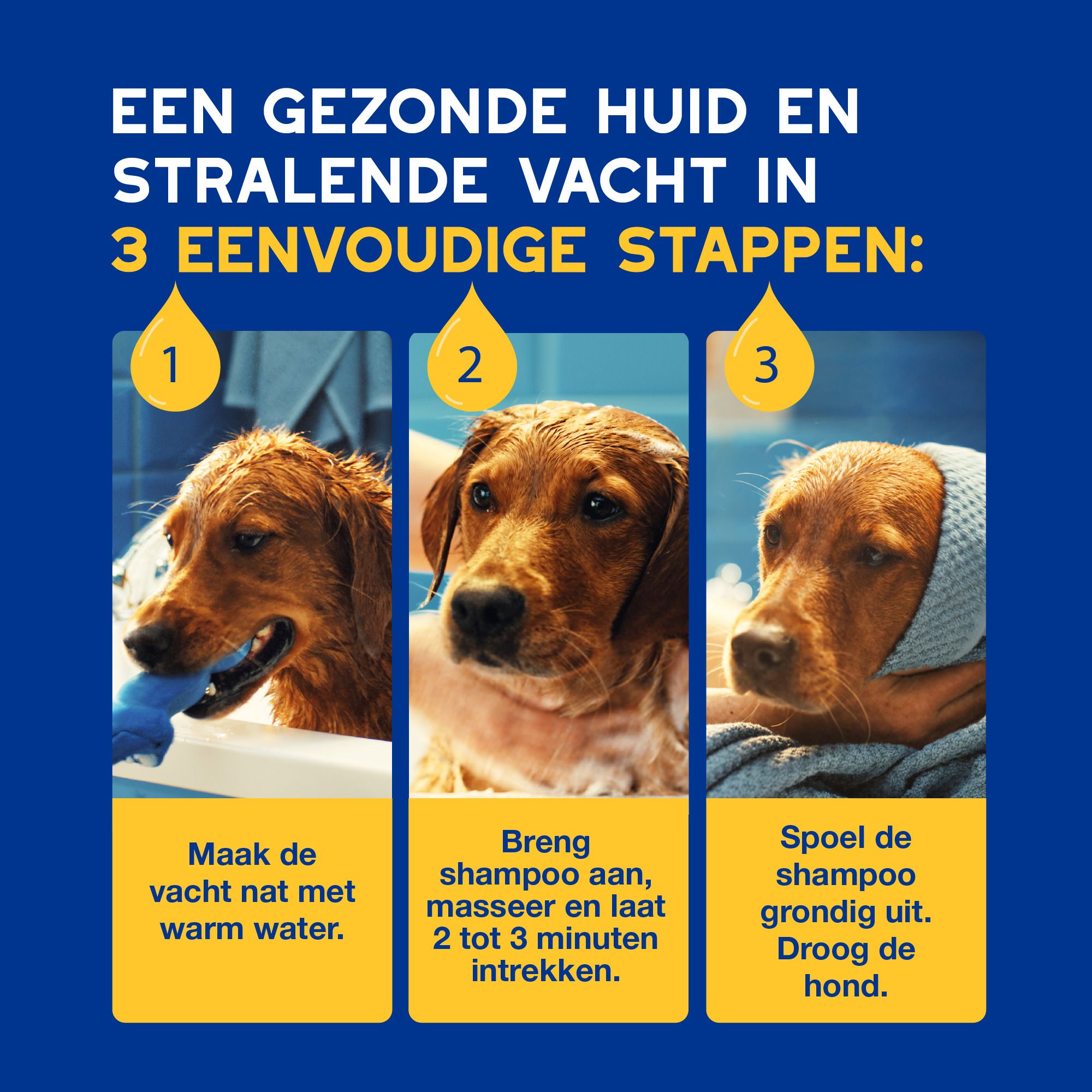 Hond op bank. Tekst: Verbetert de kwaliteit van de vacht, maakt hem zacht, stralend en laat hem heerlijk ruiken!