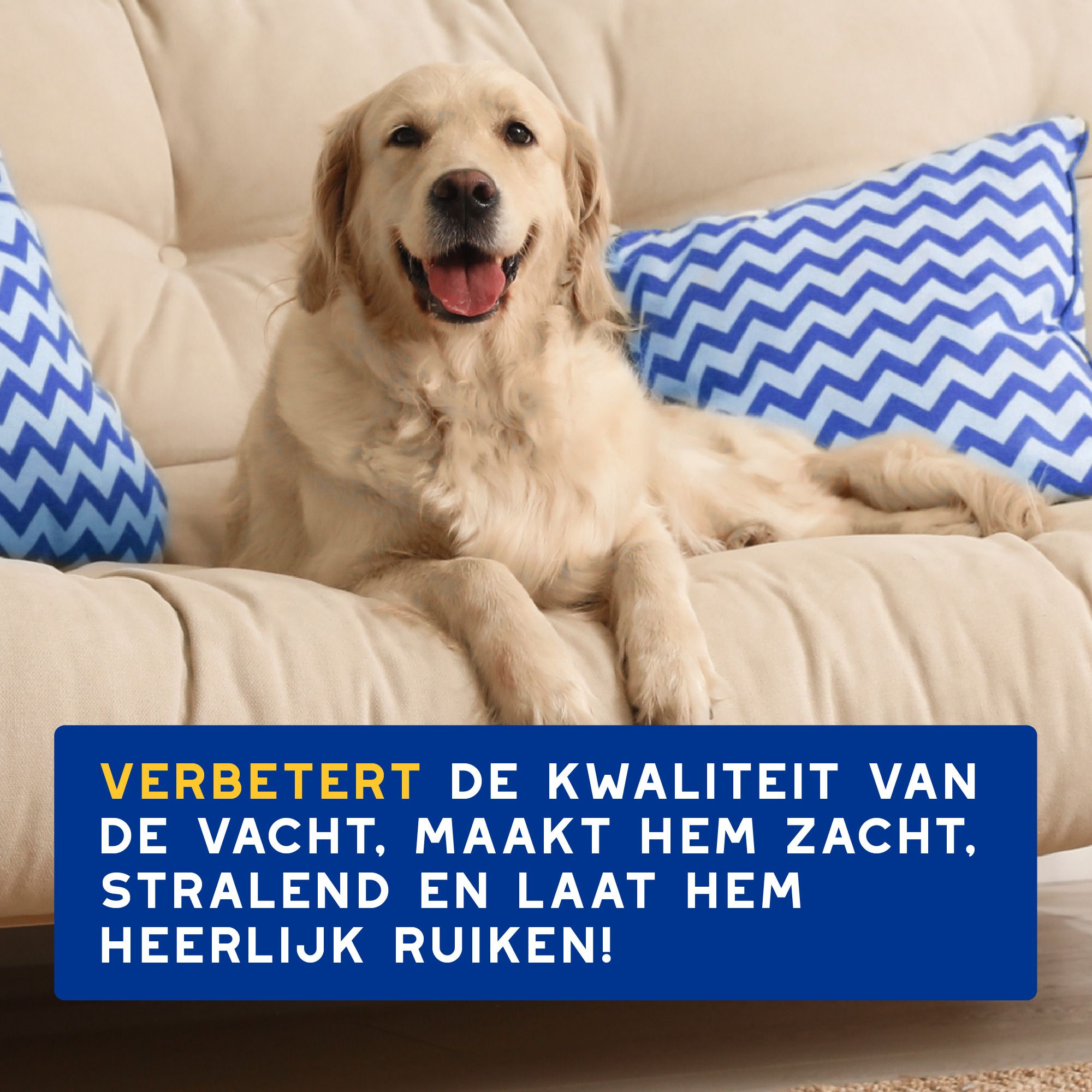 Verschillende producten. Tekst: Een volledige DOUXO huid- en vachtverzorgingsroutine.