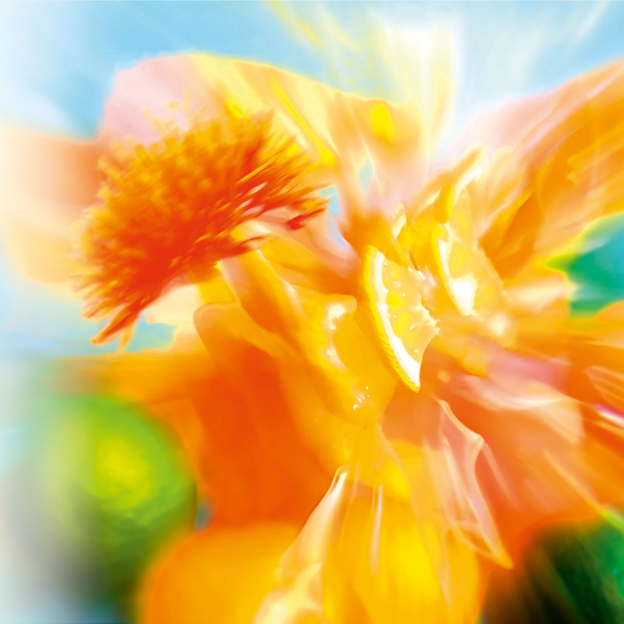 Représentation abstraite de fleurs oranges et d'agrumes. Couleurs floues et vives. Fond bleu et vert.