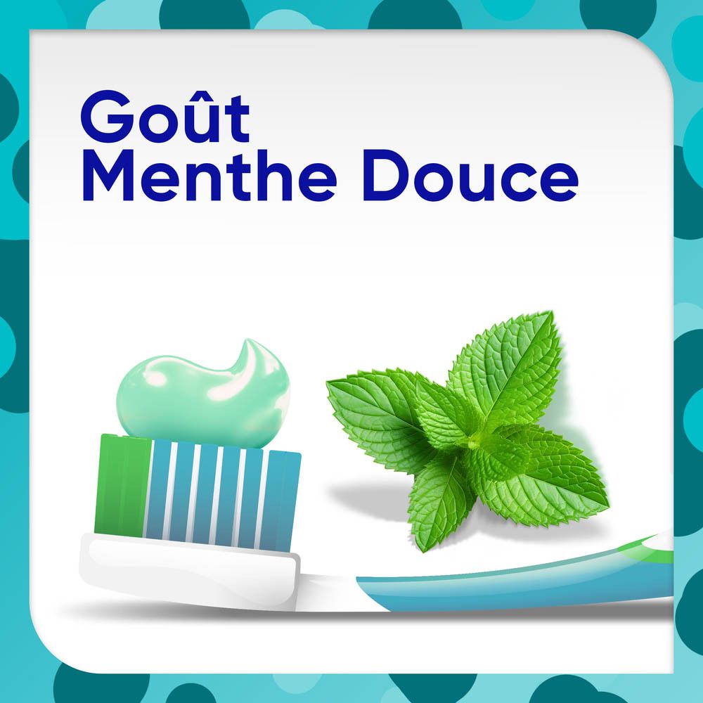 Brosse à dents avec dentifrice et feuilles de menthe. Texte : Goût menthe douce.