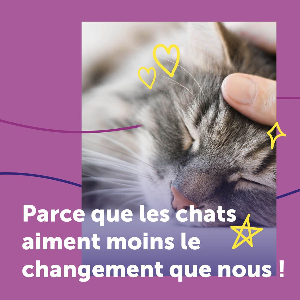 Chat caressé. Texte : Parce que les chats aiment moins le changement que nous !