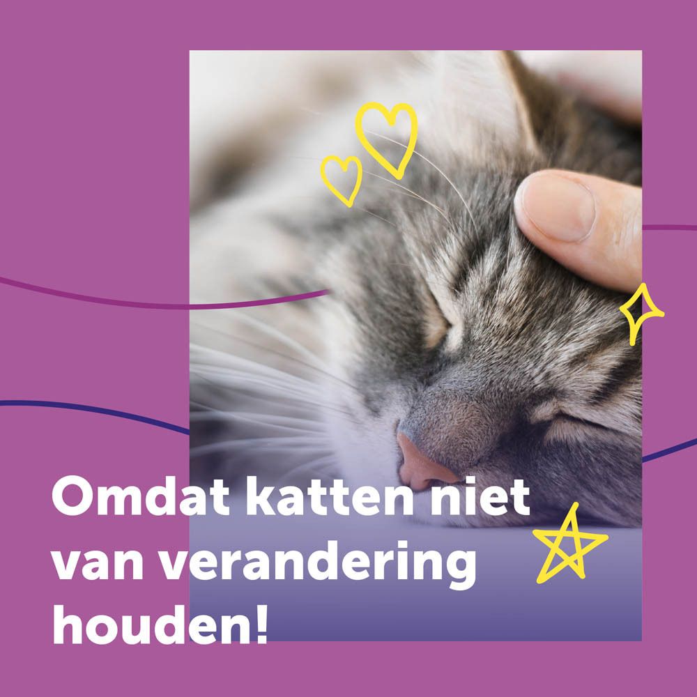 Kat wordt geaaid. Tekst: Omdat katten niet van verandering houden!