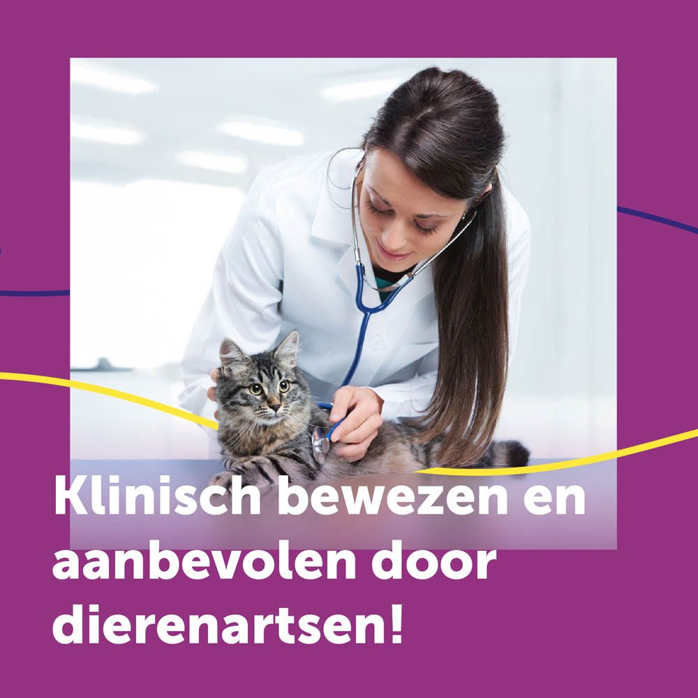 Dierenarts onderzoekt kat. Tekst: Klinisch bewezen en aanbevolen door dierenartsen!