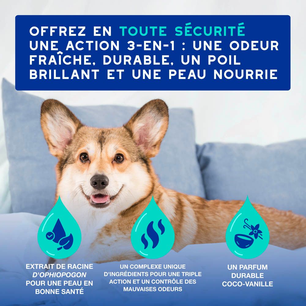 Arrière de la bouteille de spray Douxo SPA avec informations produit.