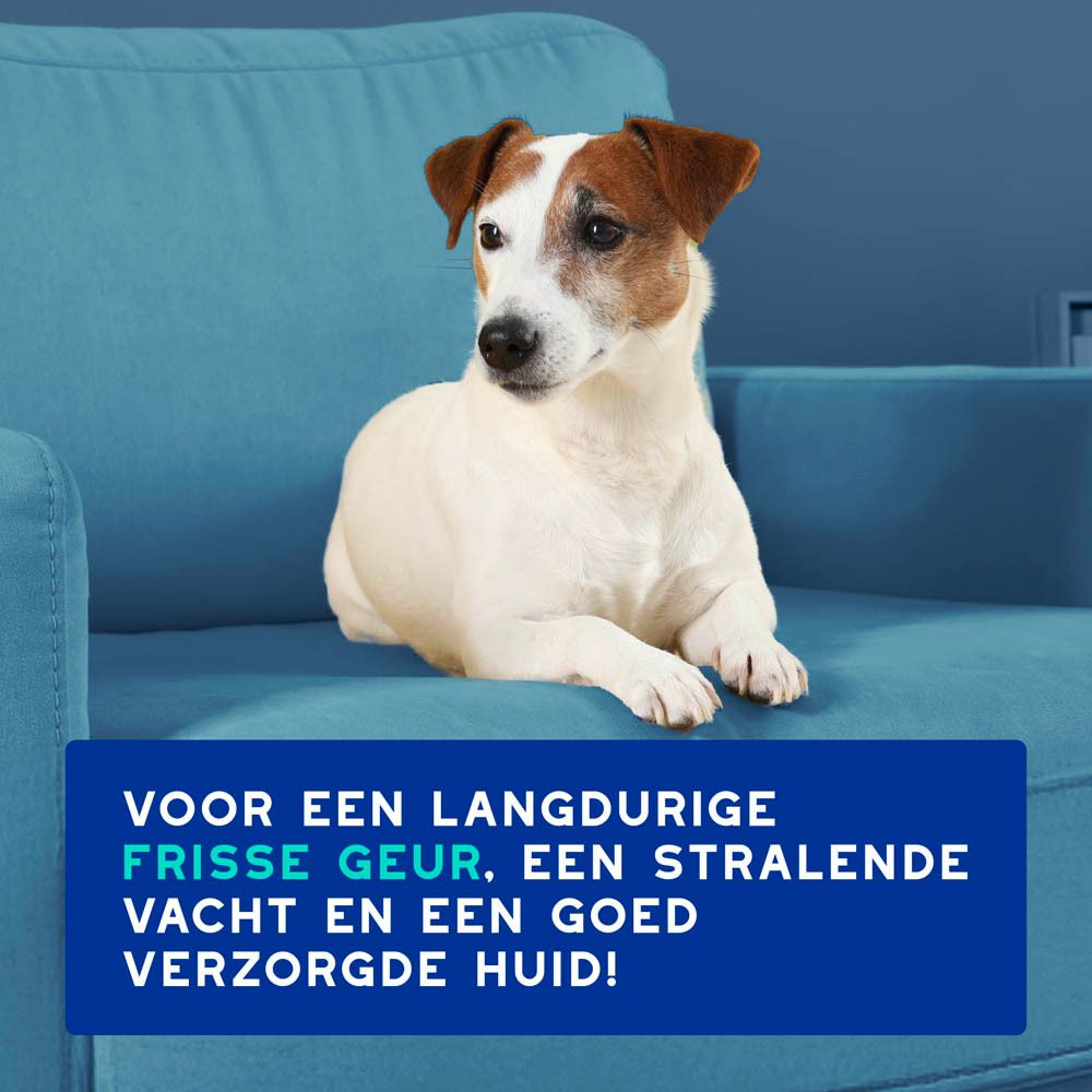 Douxo SPA Spray fles met sproeikop, vooraanzicht.