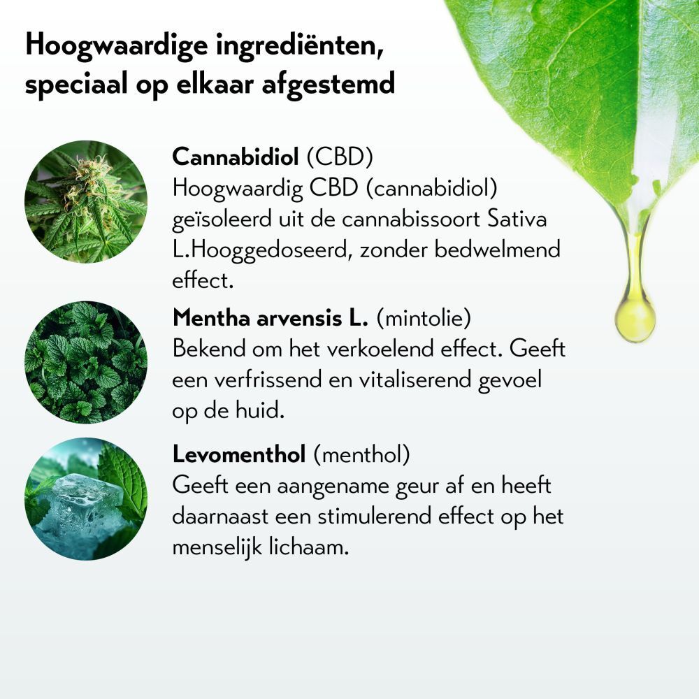 Tekst met ingrediënten. CBD, menthol, levomenthol. Druppel.