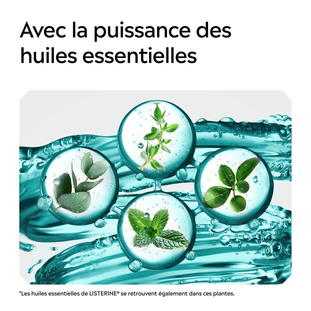Quatre cercles contenant des herbes et des feuilles dans un liquide bleu.
