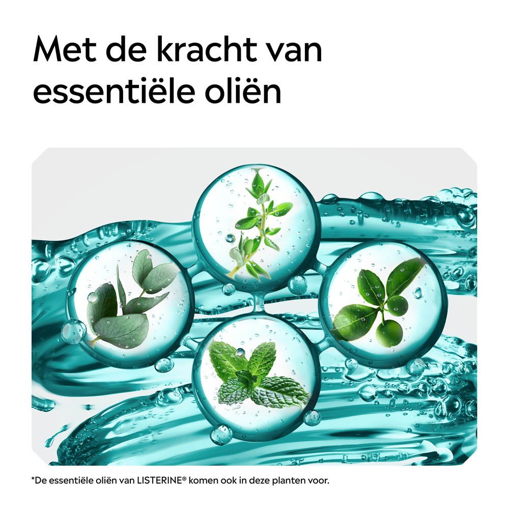 Vier cirkels met plantenextracten: eucalyptus, tijm, bladeren en munt.