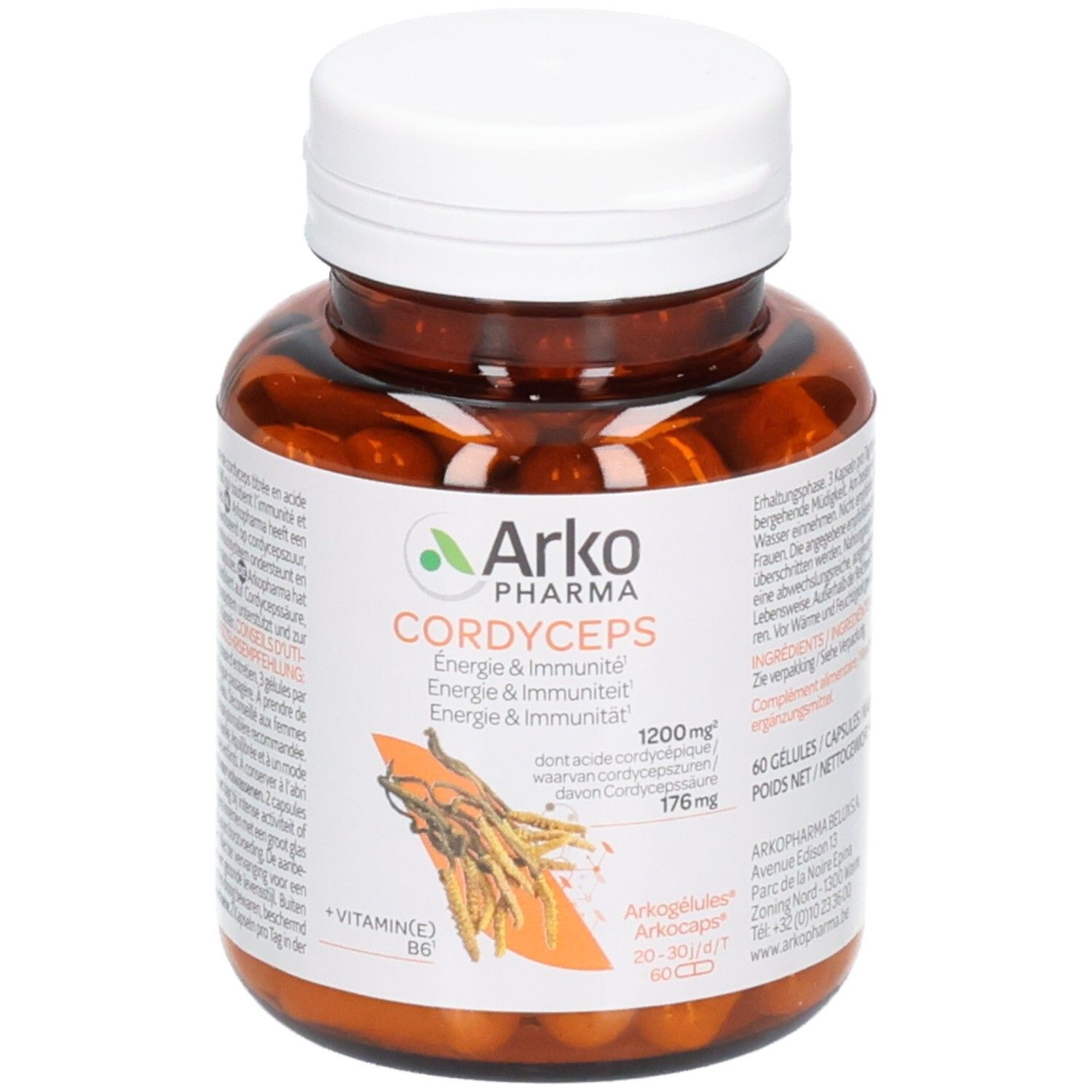 Pot brun avec bouchon blanc, Arkogélules Cordyceps, 60 gélules.