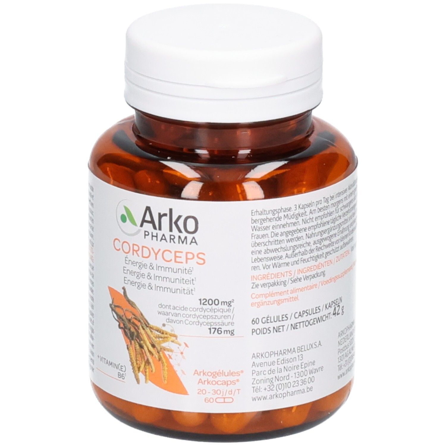 Pot brun avec bouchon blanc, Arkogélules Cordyceps, 60 gélules, avec Vitamine B6.