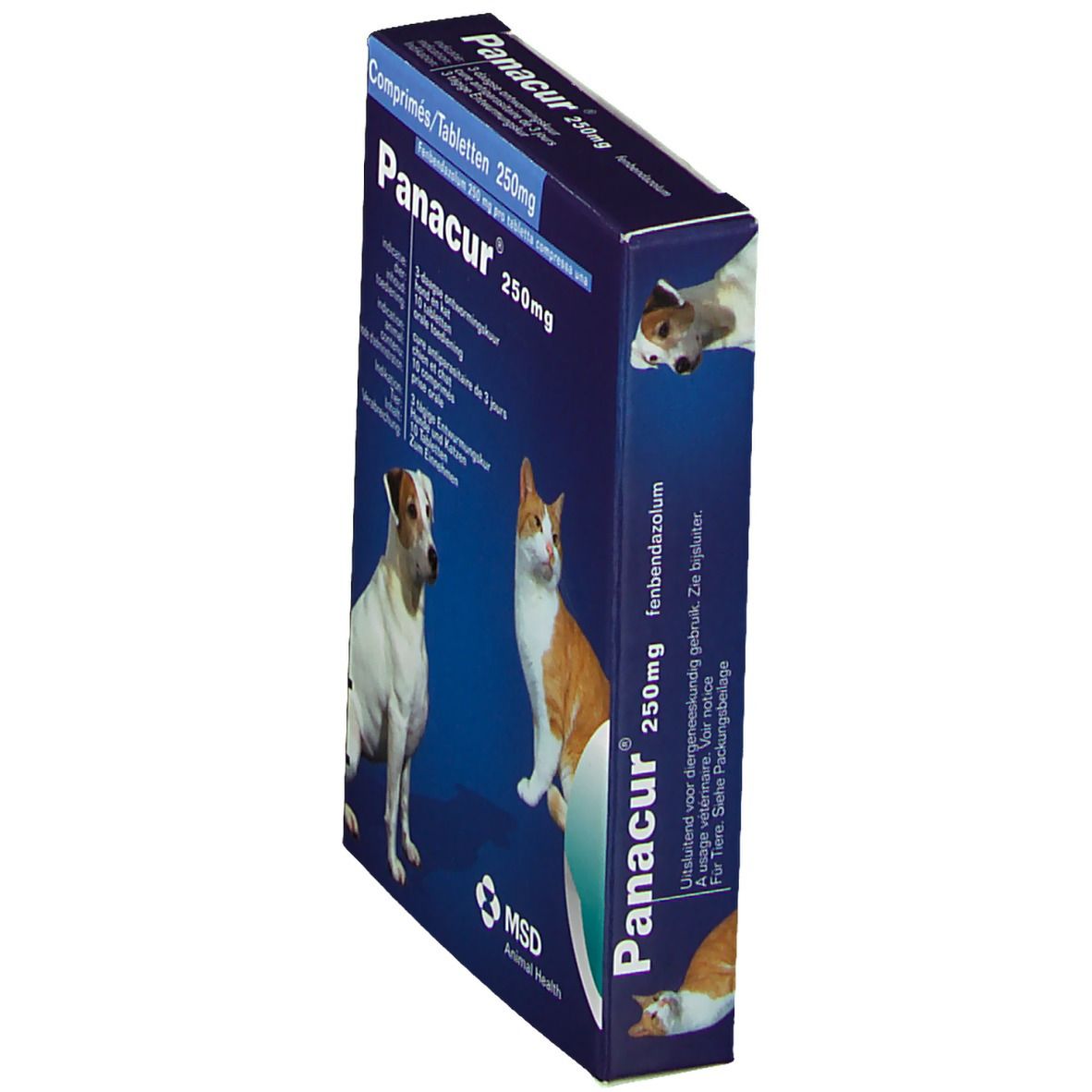 Panacur 250mg Chien et Chat