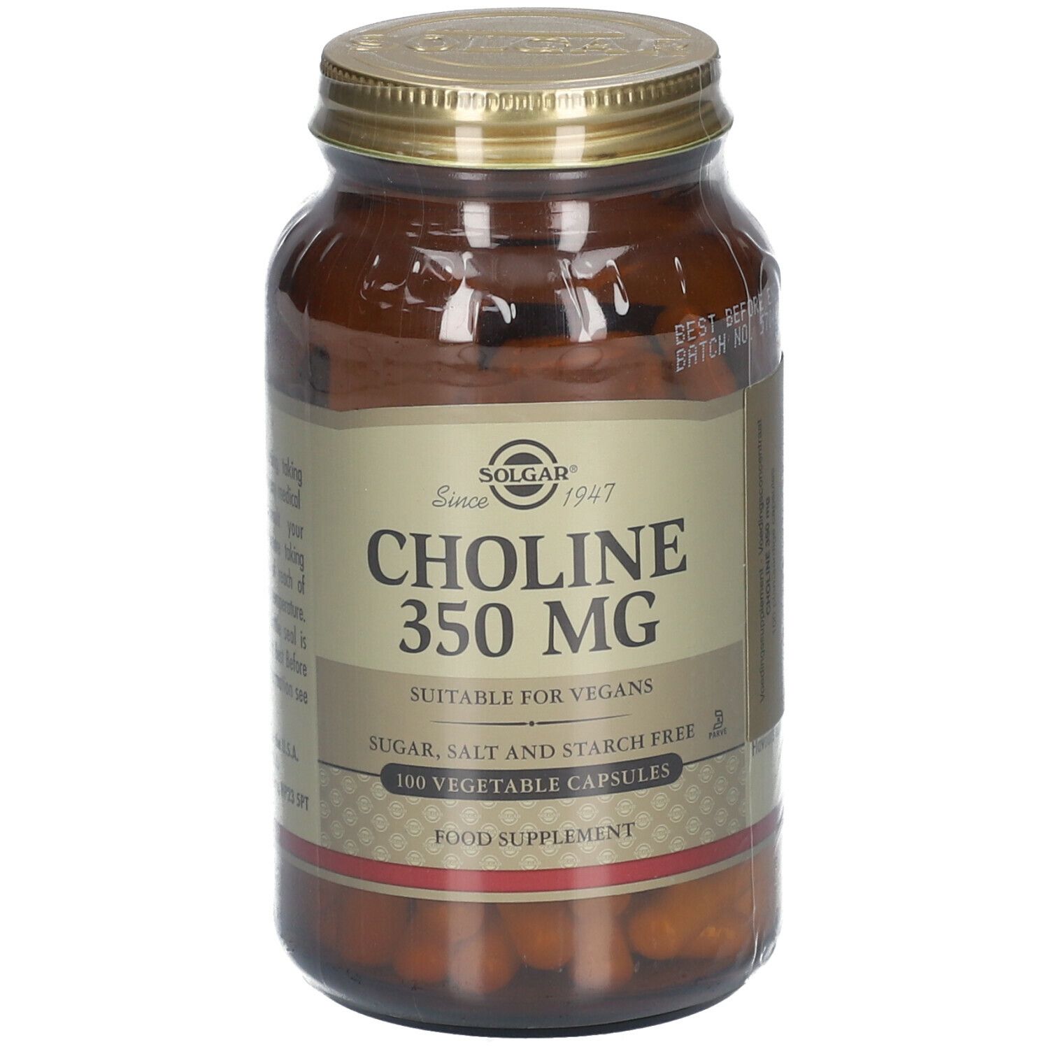 Solgar Choline 350 mg
