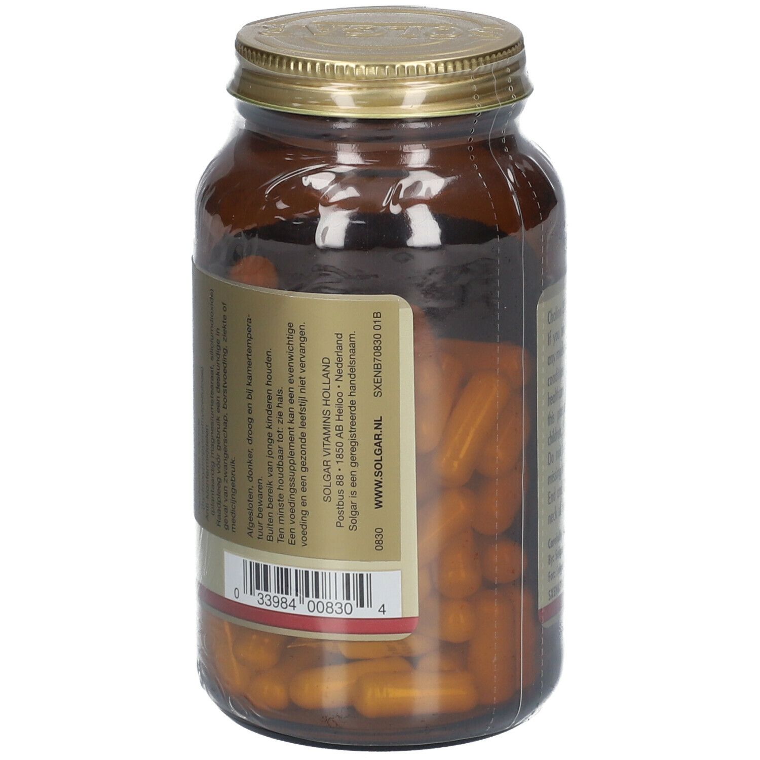 Solgar Choline 350 mg