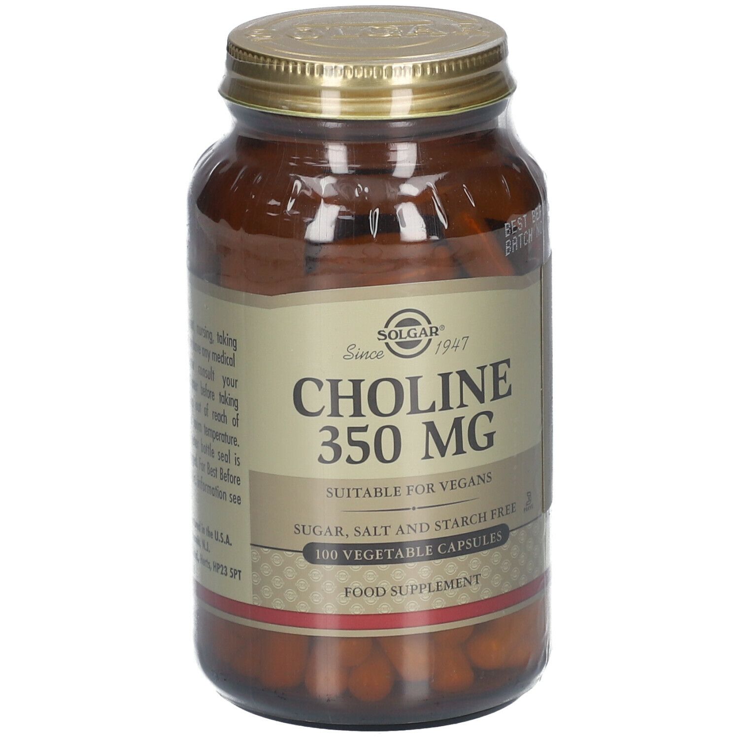 Solgar Choline 350 mg