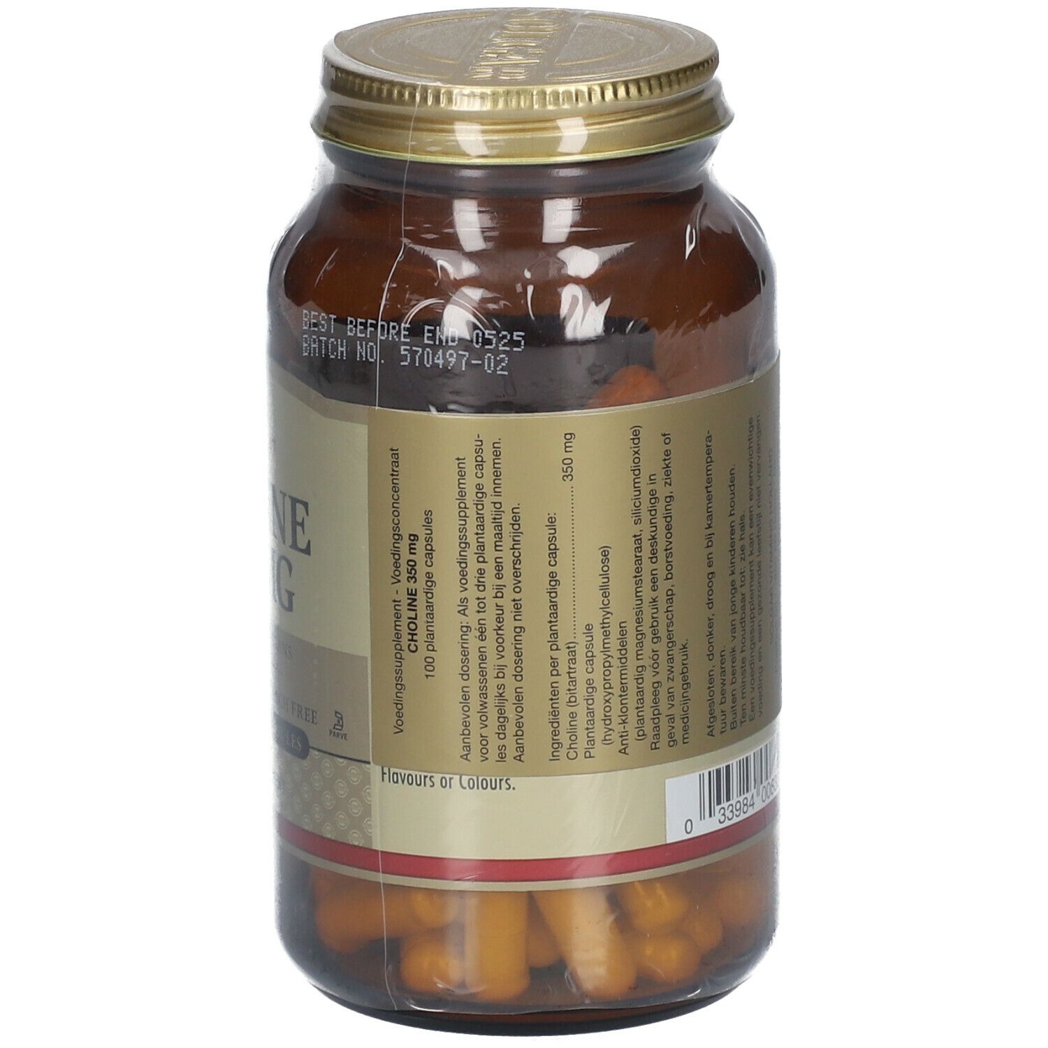 Solgar Choline 350 mg