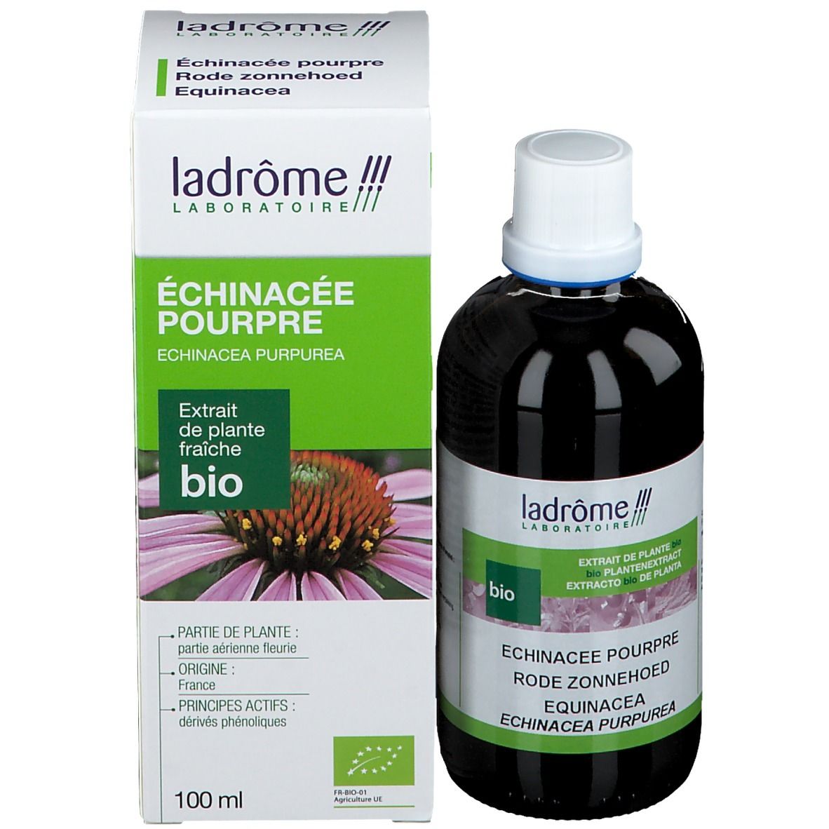 Flacon brun et boîte. Flacon avec bouchon blanc. Boîte avec texte et logo. Nom du produit: Echinacea Purpurea.