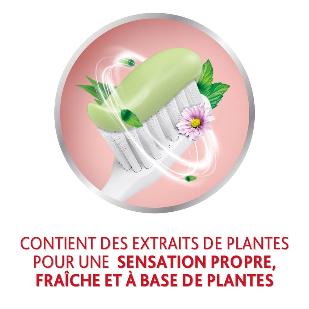 Brosse à dents avec dentifrice. Texte: Contient des extraits de plantes pour une sensation propre, fraîche et à base de plantes.