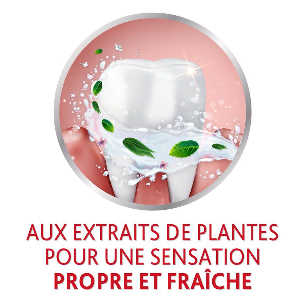 Dent avec texte: Aux extraits de plantes pour une sensation propre et fraîche.
