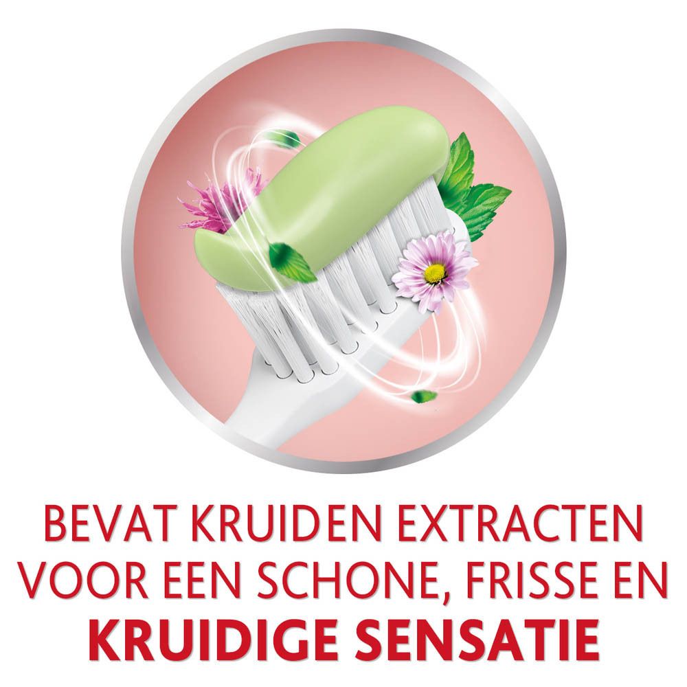 Tandenborstel met tandpasta en kruiden. Roze achtergrond. Tekst: Bevat kruidenextracten voor een schone, frisse sensatie.