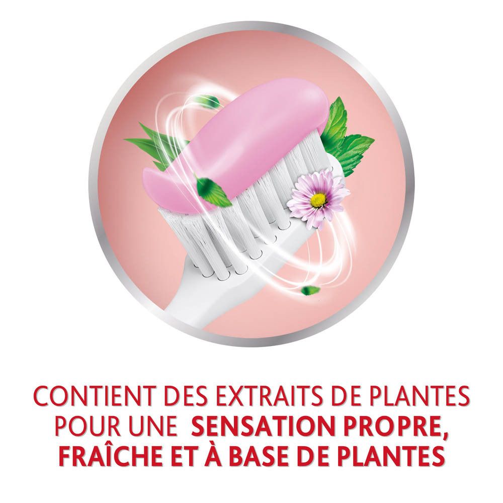 Brosse à dents avec dentifrice rose et herbes. Fond rose. Texte : CONTIENT DES EXTRAITS DE PLANTES.