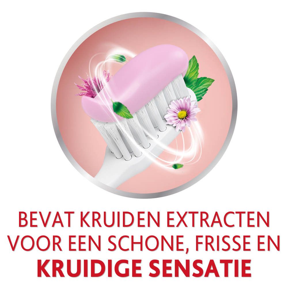 Tandenborstel met roze tandpasta en kruiden. Roze achtergrond. Tekst: BEVAT KRUIDEN EXTRACTEN.