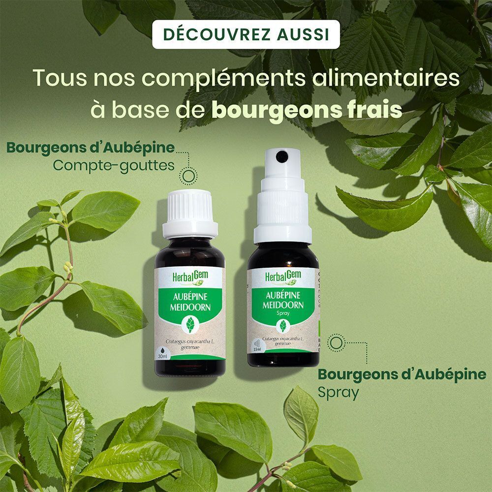 Flacon et spray Herbalgem Aubépine. Tous deux à base d'extrait de bourgeons. Fond vert avec feuilles.