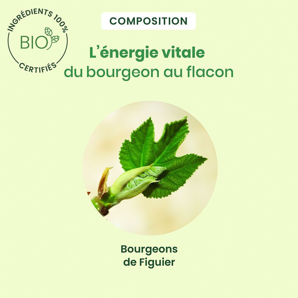 Gros plan d'une feuille. Texte: L'énergie vitale du bourgeon au flacon. Certification Bio.