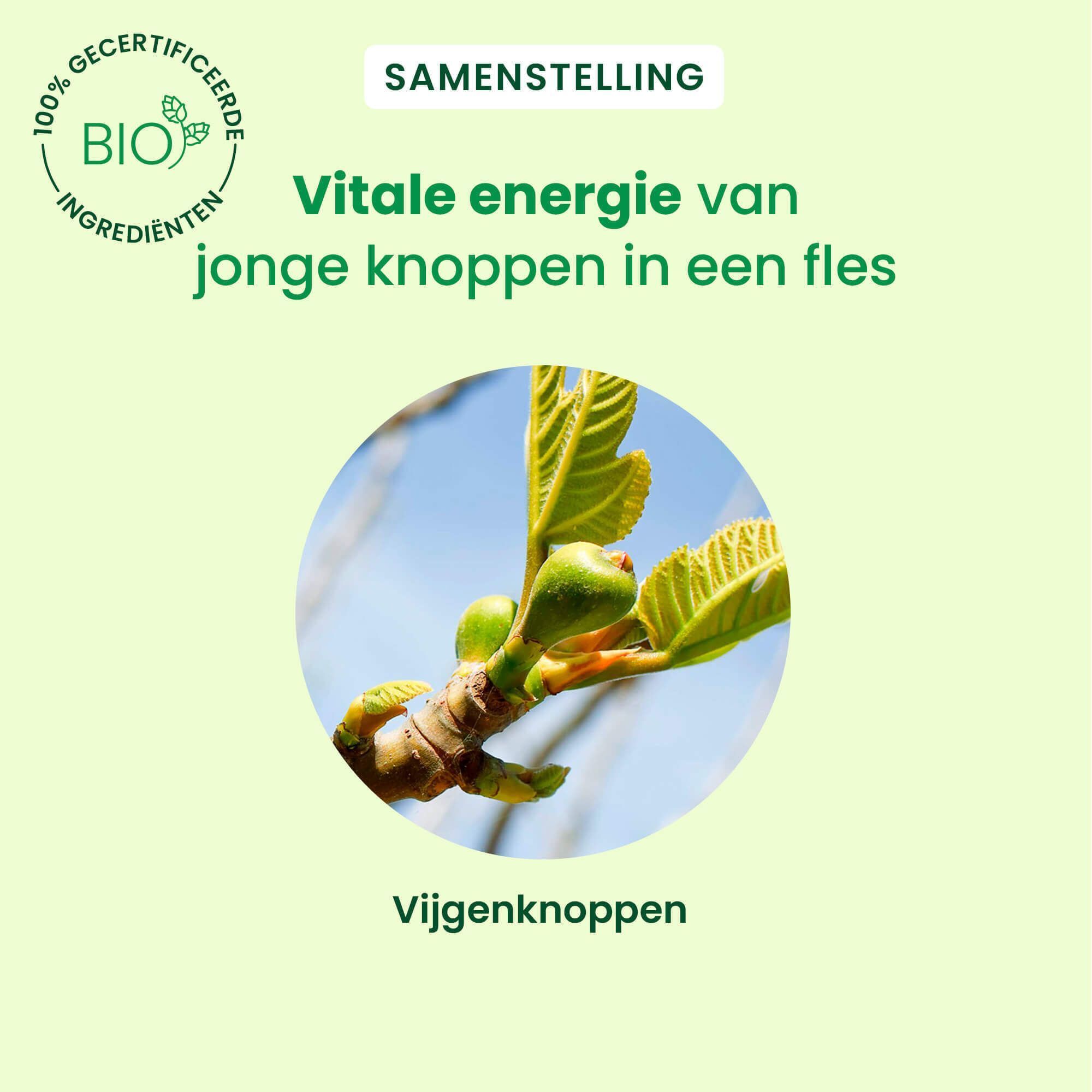 Close-up van een blad. Tekst: Vitale energie van knoppen in een fles. Bio-certificering.