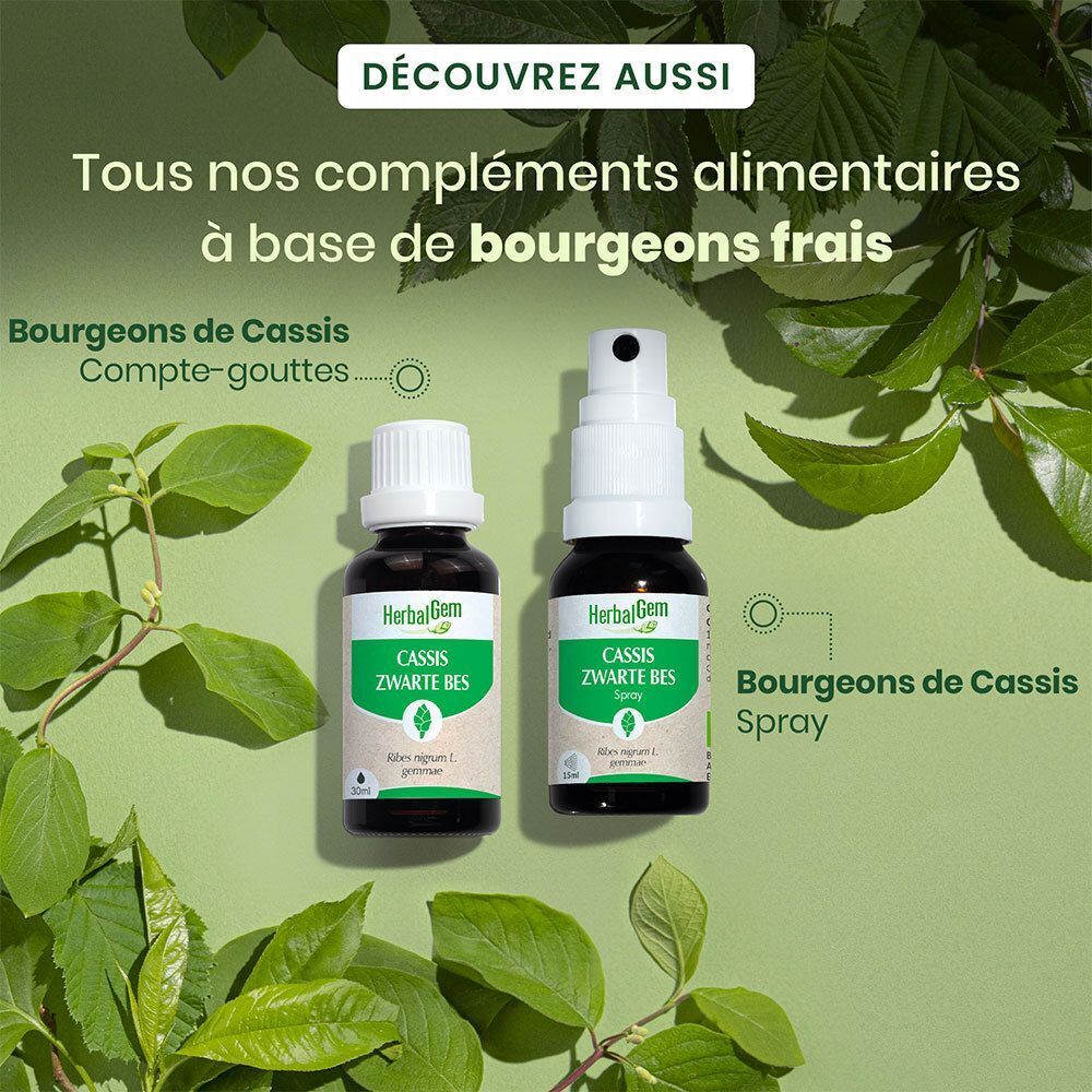 Twee flessen HerbalGem Cassis Bio en spray. Tekst: Voedingssupplementen op basis van verse knoppen.