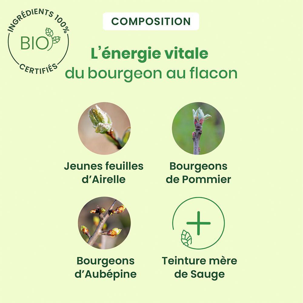 Composition: Jeunes feuilles d'Airelle, Bourgeons de Pommier, Bourgeons d'Aubépine, Teinture mère de Sauge. Certification Bio.