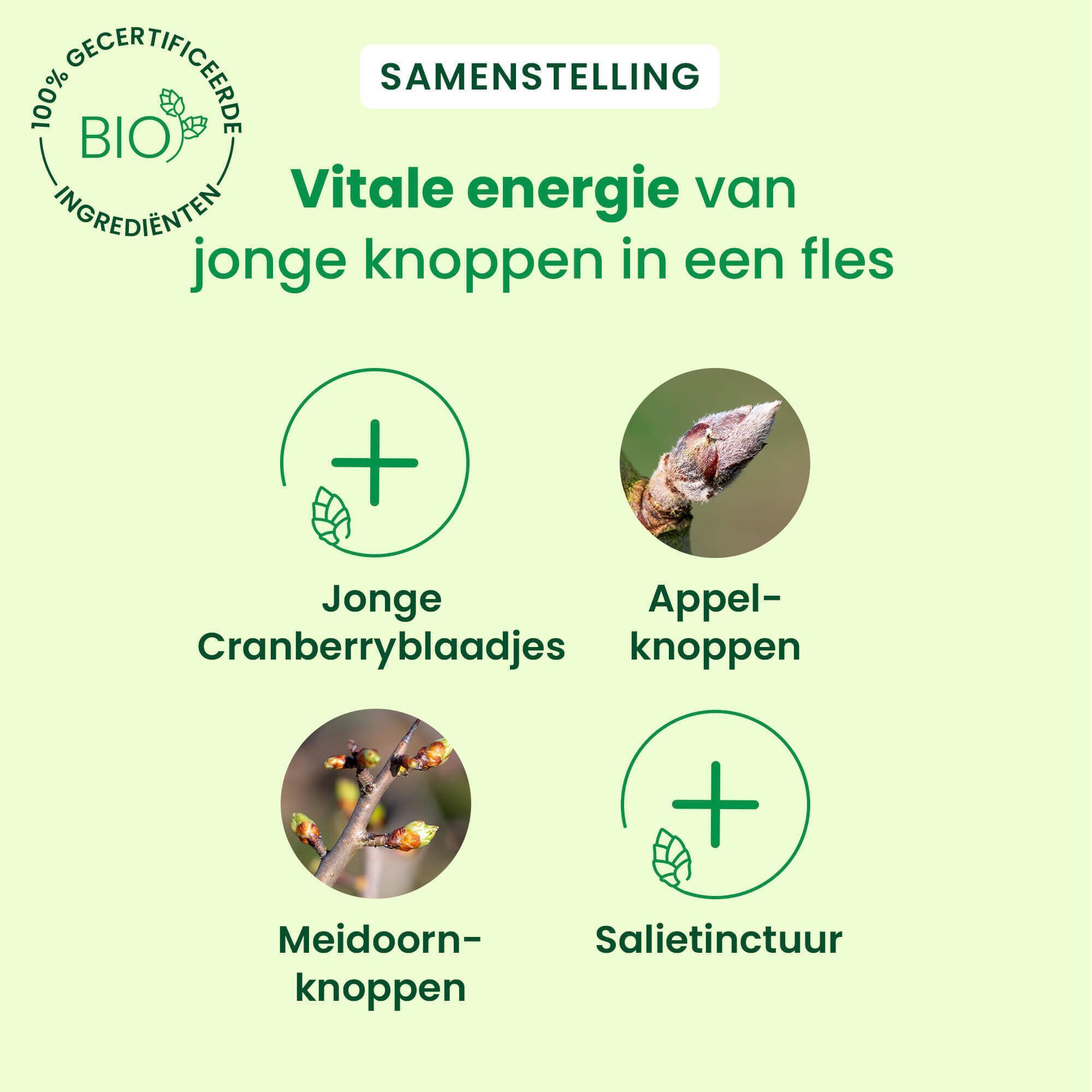 Samenstelling: Jonge Cranberryblaadjes, Appelknoppen, Meidoornknoppen, Salie tinctuur. Bio-certificering.