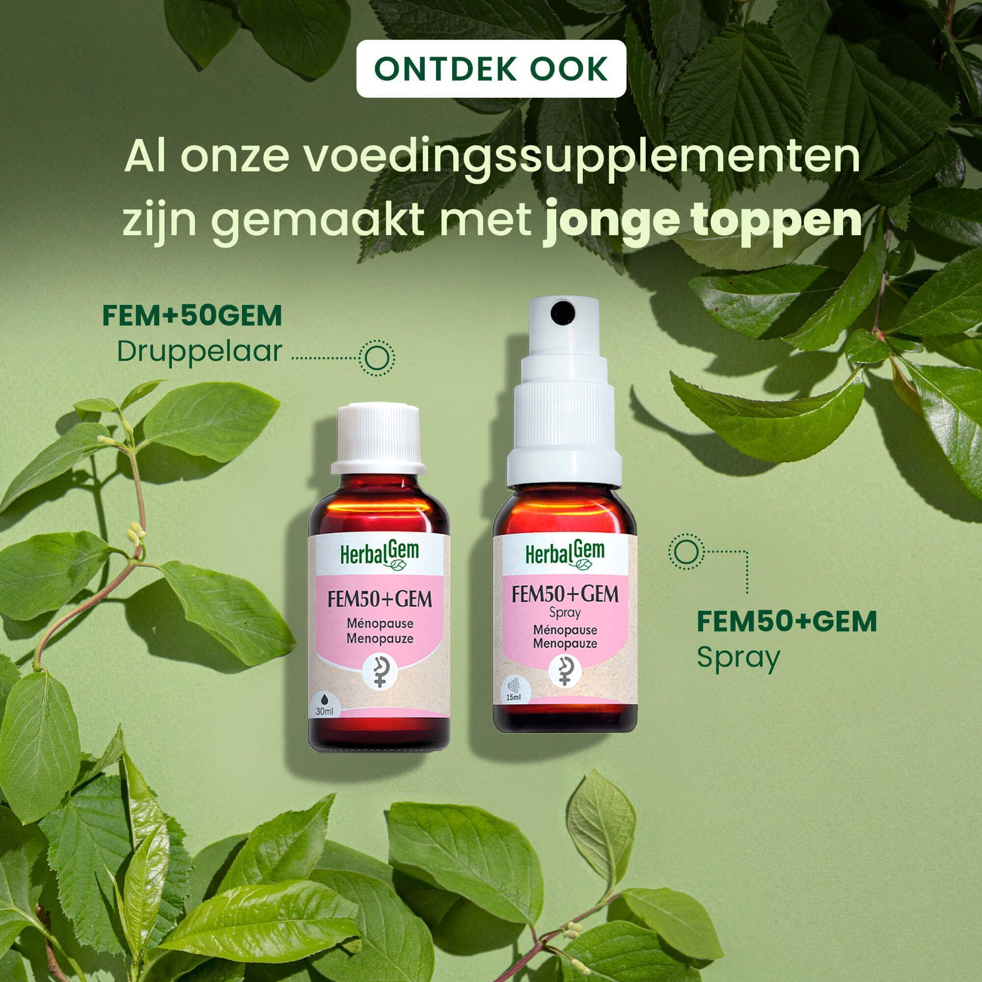 Twee flessen HerbalGem Fem50+Gem, een met druppelaar, een met spray. Tekst: Al onze voedingssupplementen zijn gemaakt met jonge toppen.