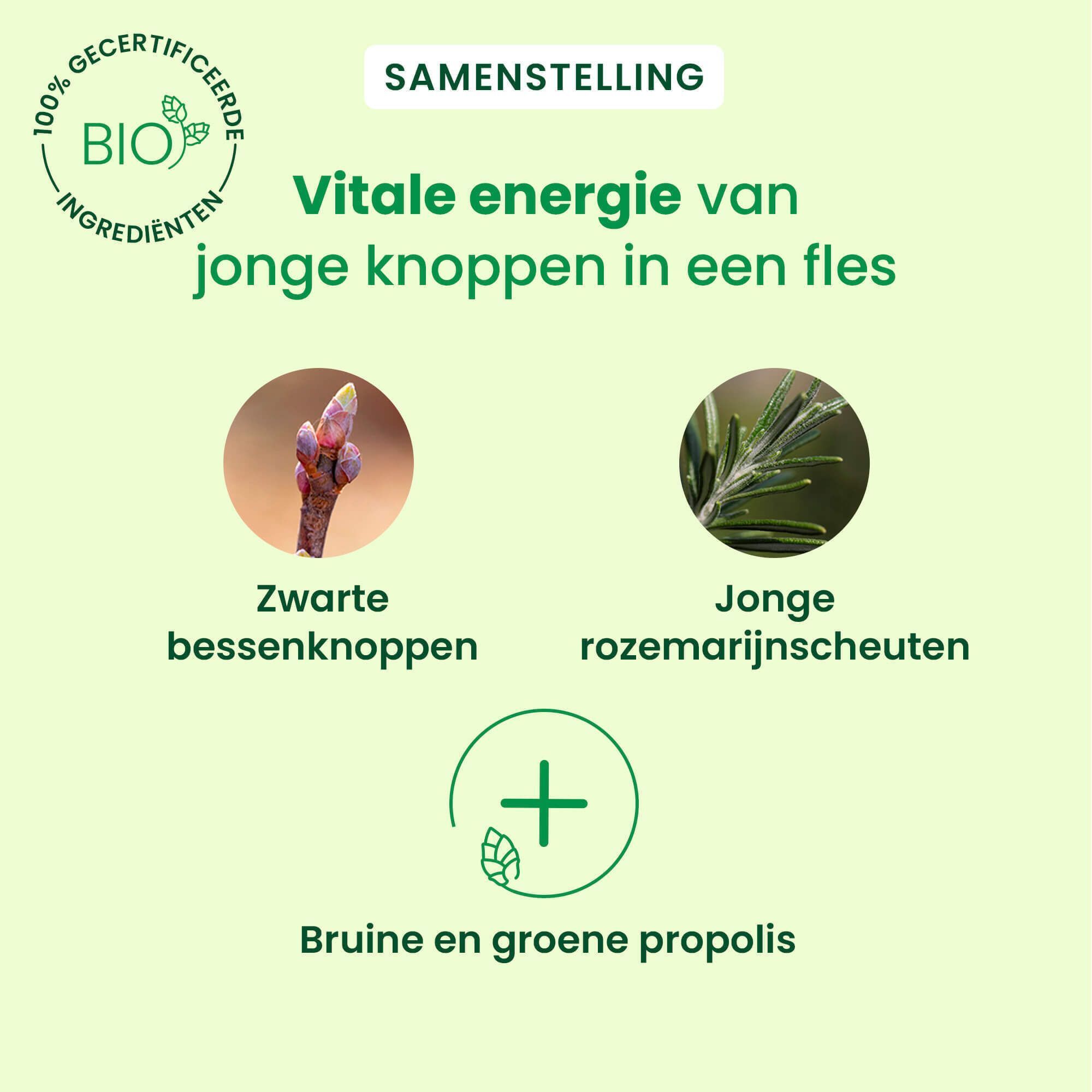 Samenstelling: Zwarte bessenknoppen, Jonge rozemarijnscheuten, Bruine en groene propolis. Bio-ingrediënten.