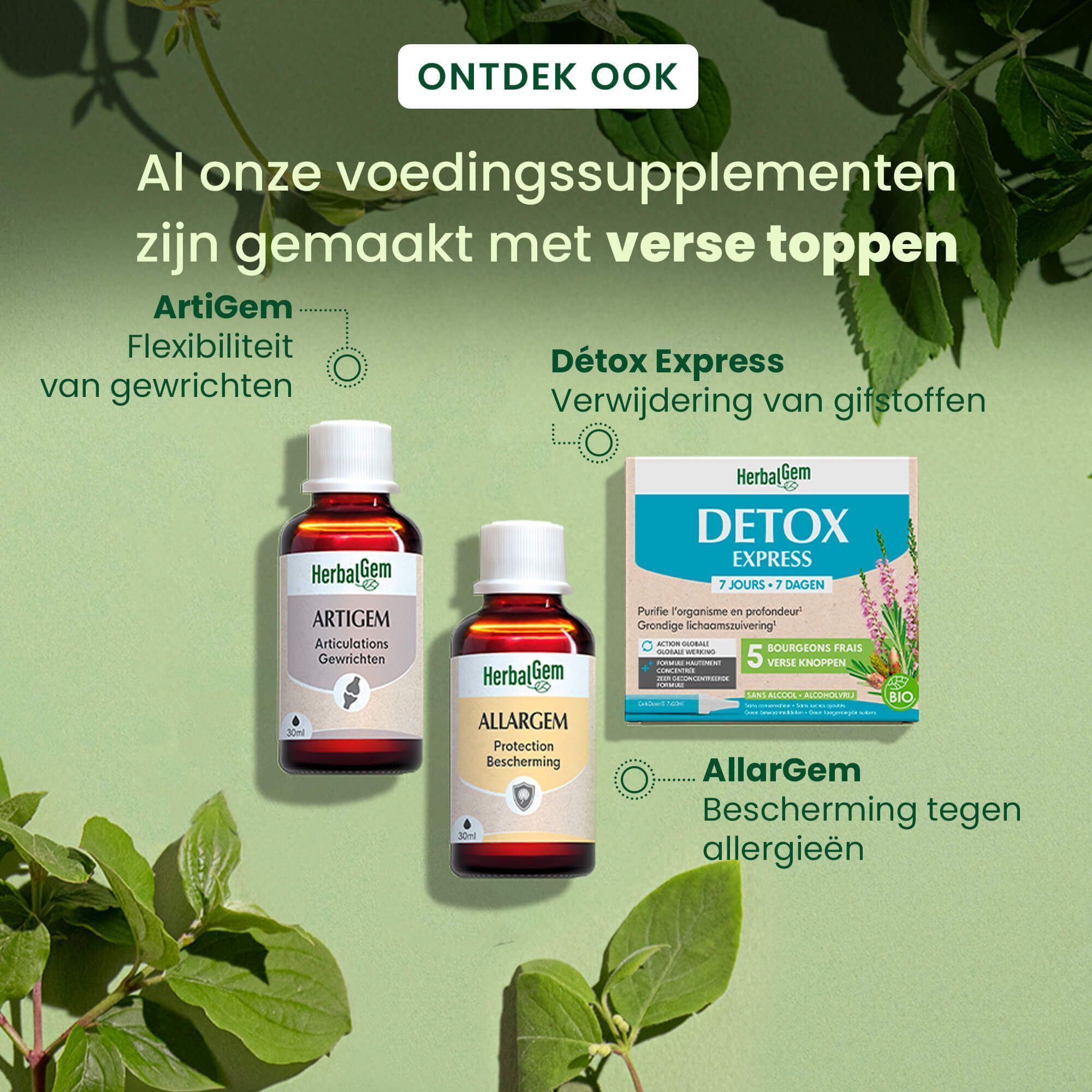 Twee flessen Artigem en Allargem, een doos Detox Express. Tekst: Al onze voedingssupplementen zijn gemaakt met verse toppen.
