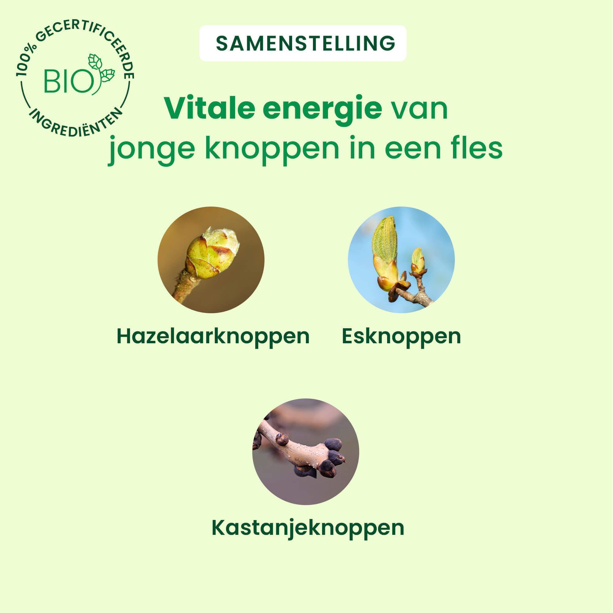 Drie knoppen: Haselarknoppen, Esknoppen, Kastanjeknoppen. Tekst: Vitale energie van jonge knoppen.