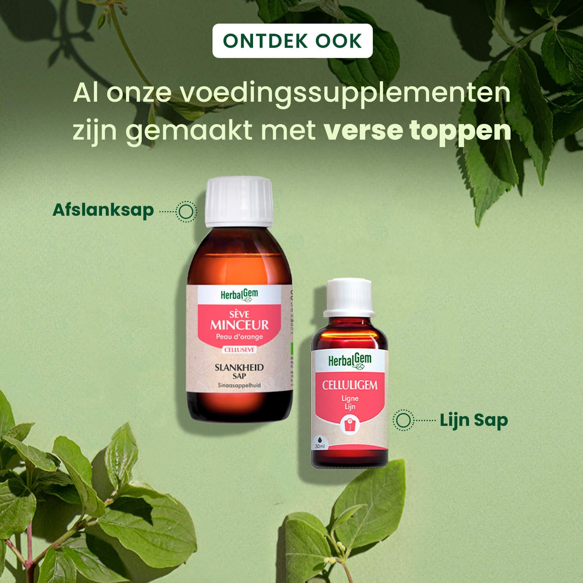 Twee flessen: Silve Minceur en Celluligem Lijn. Tekst: Al onze voedingssupplementen zijn gemaakt met verse toppen.