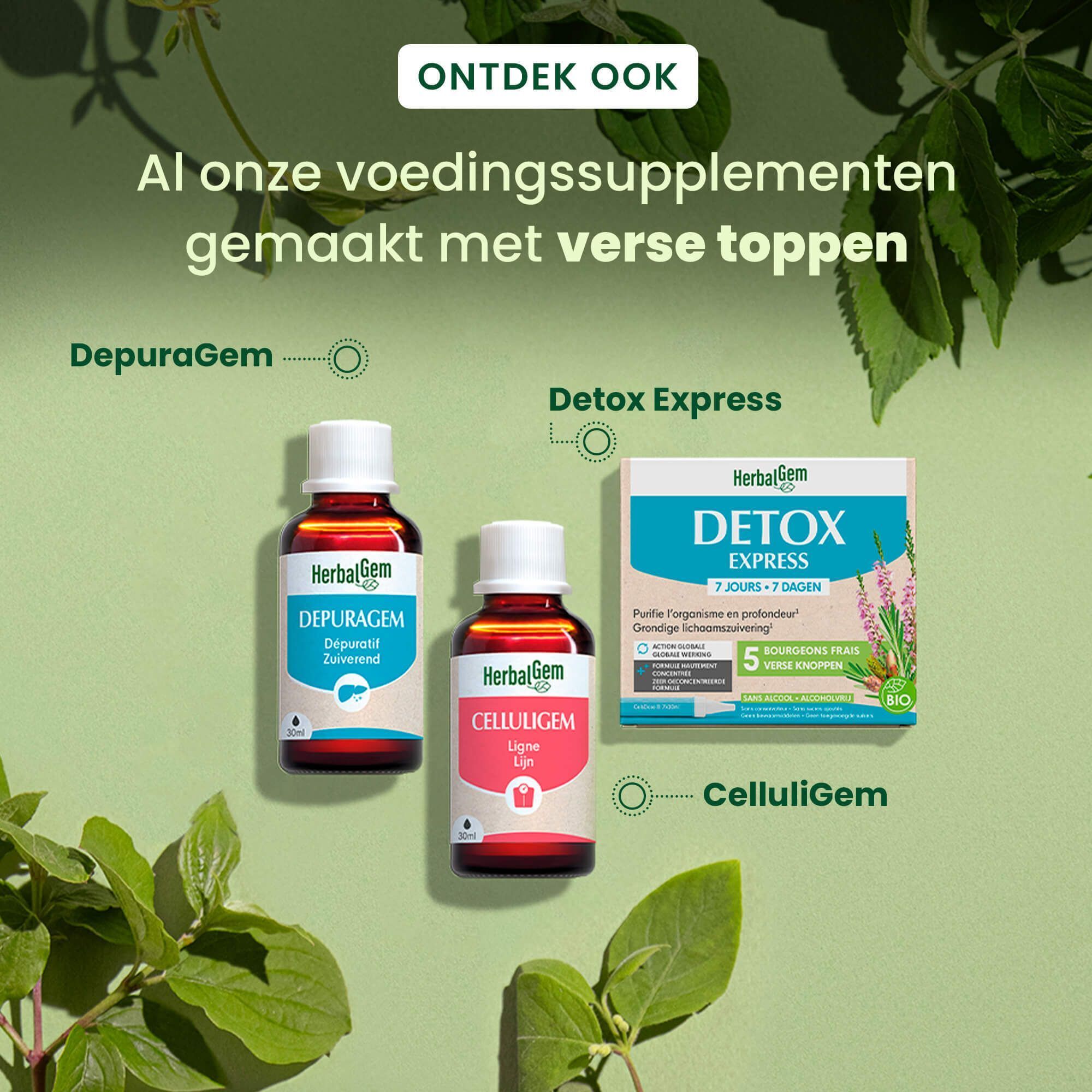Twee flessen en een doos. HerbalGem Depuragem, CelluliGem en Detox Express. Gemaakt met verse toppen.