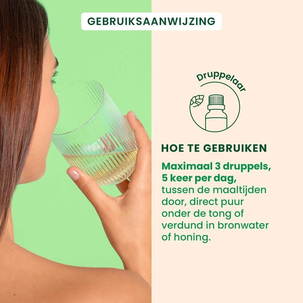 Samenstelling van HerbalGem Calmigem Bio. Vijgenknoppen, zwarte bessenknoppen en kruiden.