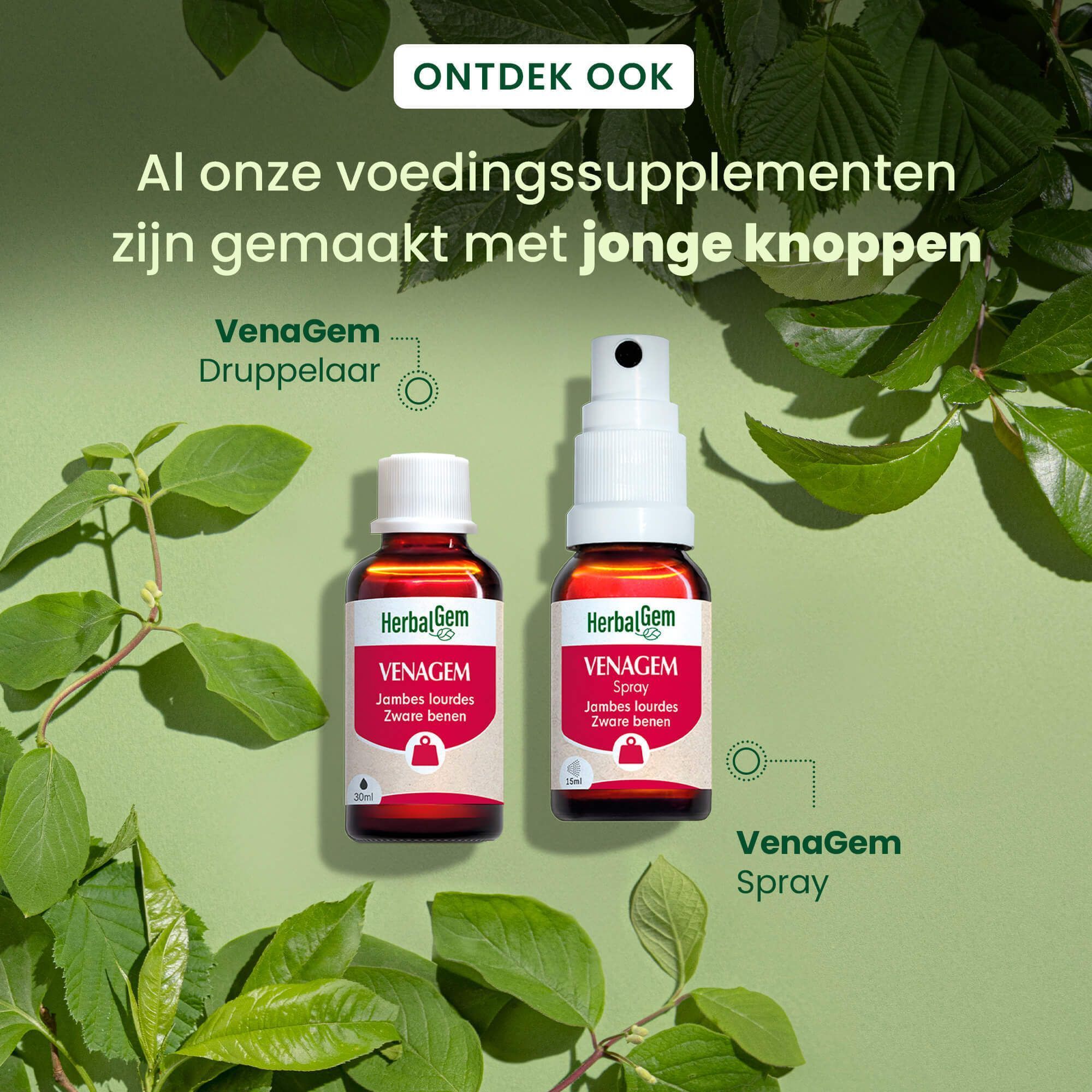 Twee flessen. Eén met druppelaar, één met spray. Opschrift: HerbalGem Venagem, Jambes lourdes, Zware benen. Tekst: Al onze supplementen zijn gemaakt met jonge knoppen.