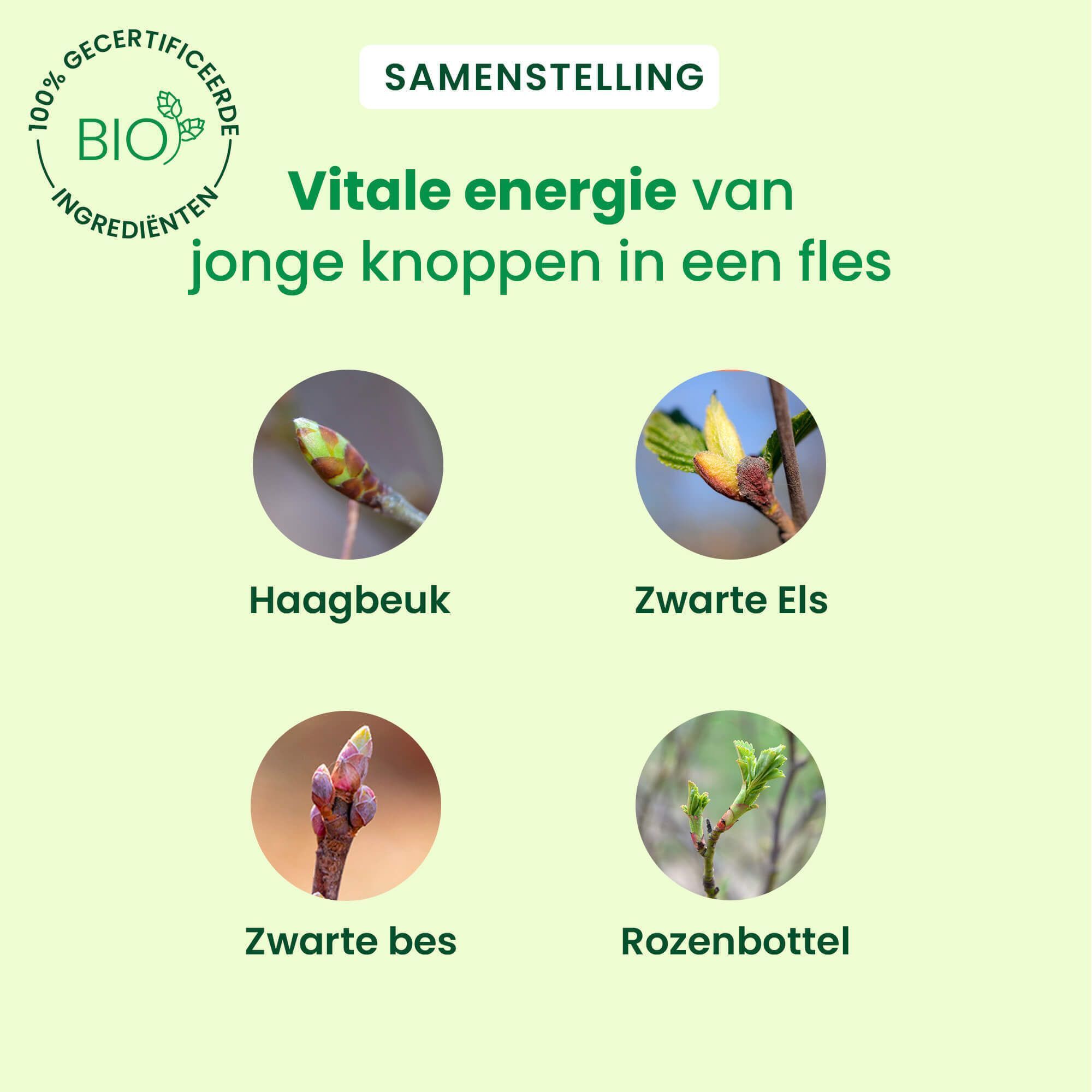 Een fles HerbalGem SINUGEM. Rode vloeistof in een glazen fles met witte dop. Tekst: SINUGEM.