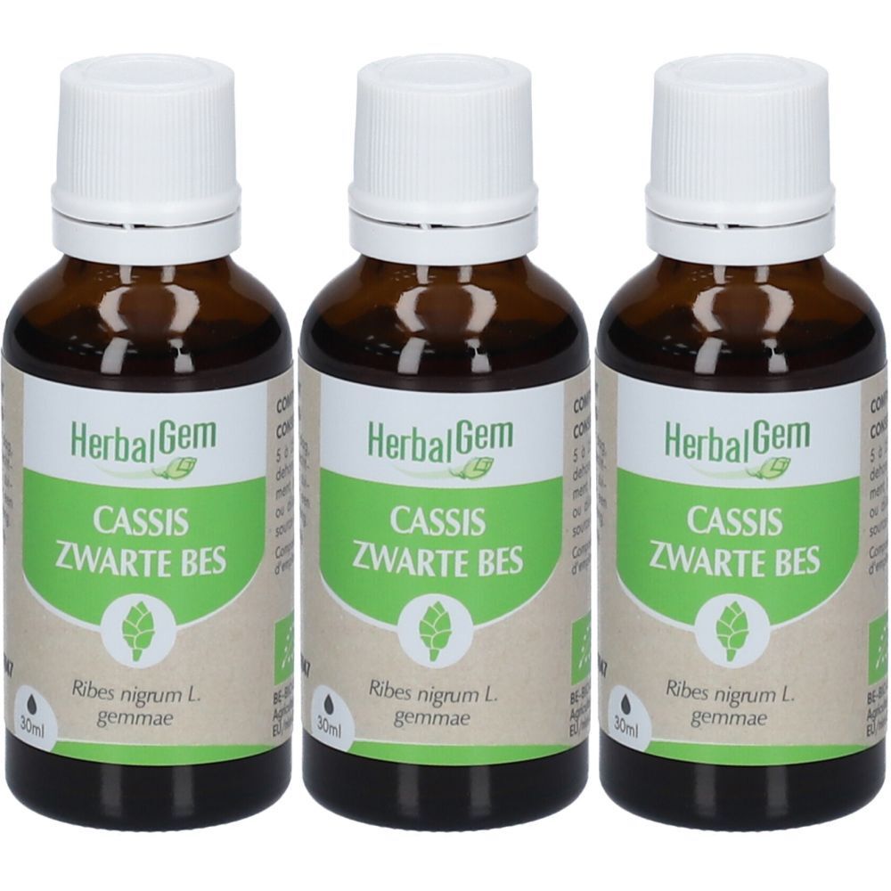 HerbalGem Zwarte Bes Bio TRIO