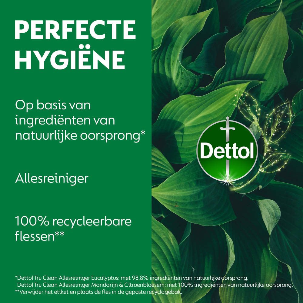 Achteraanzicht van de witte Dettol-sprayschoonmaker. Fles met sproeikop. Opschrift en logo's.