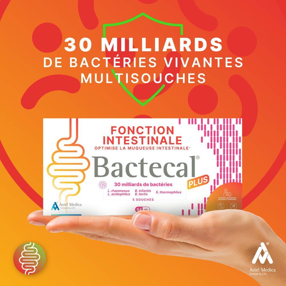 Boîte Bactecal Plus sur un support en bois, texte sur la digestion harmonieuse et le système immunitaire.