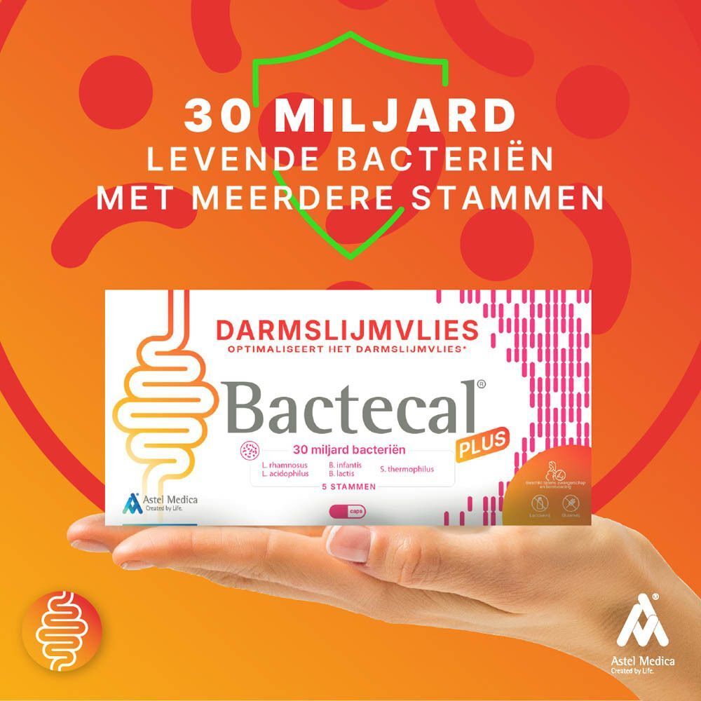 Bactecal Plus verpakking op een houten standaard, tekst over harmonieuze spijsvertering en immuunsysteem.