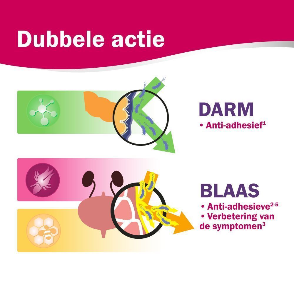 Diagram: werking op darm en blaas. Illustraties van organen en pijlen. Tekst: Anti-kleef.